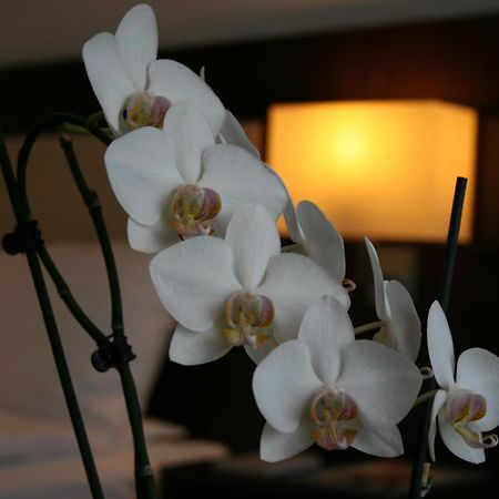 Best Western Hotel Йена Екстериор снимка